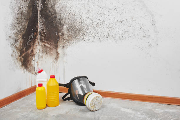 Mold Remediation for Vacation Homes in Bryson City, NC